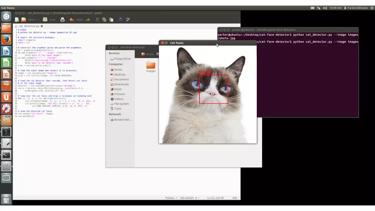 Figure 1: OpenCV working with PyCharm. Detecting cat faces!
